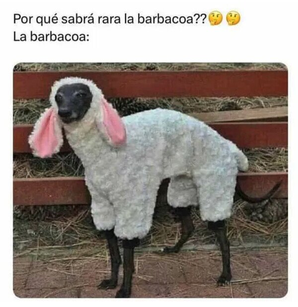 Otros - Eso no era cordero...