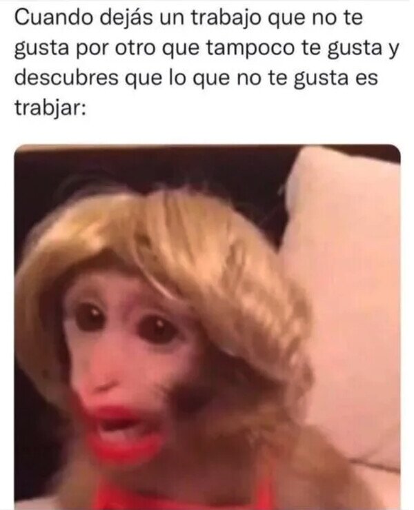 Meme_otros - Uno nunca acaba de conocerse