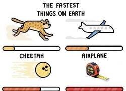 Enlace a Esa cosa retrocediendo es lo más rápido que hay