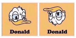 Enlace a Pato o Trump, según lo mires
