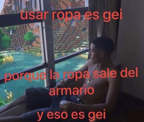 Meme_otros - La conclusión a la que he llegado