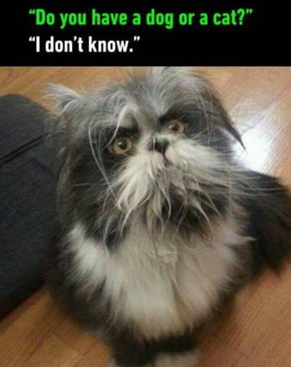 Meme_otros - No lo mojes por si acaso