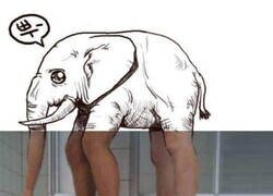 Enlace a No hay nada que ver aquí...