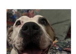 Enlace a Finde durísimo