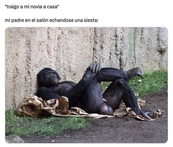 Otros - Papá, por favor, ponte algo...