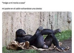 Enlace a Papá, por favor, ponte algo...