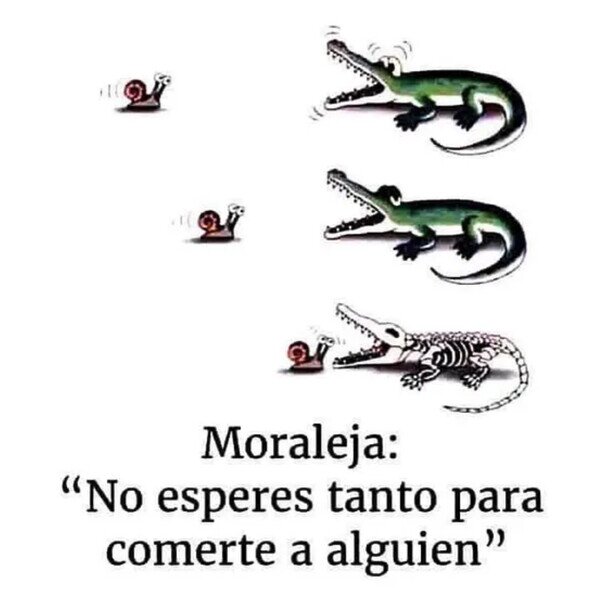 Otros - El caracol y el cocodrilo