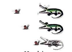 Enlace a El caracol y el cocodrilo