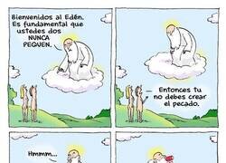 Enlace a Y cada uno hizo lo que quiso