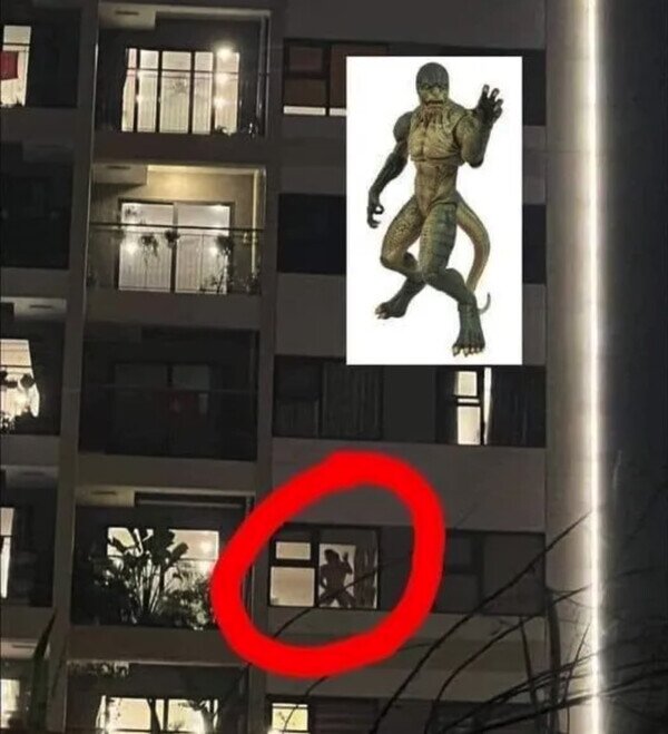 Otros - ¡Encontré a un reptiliano!