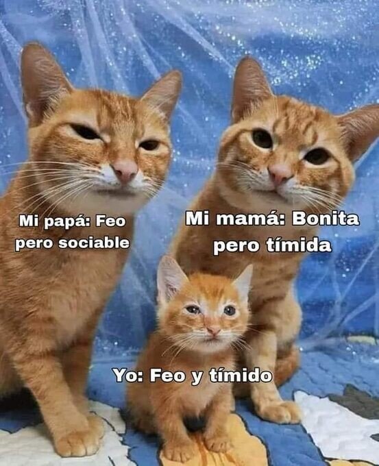 Meme_otros - Saqué lo peor de cada uno