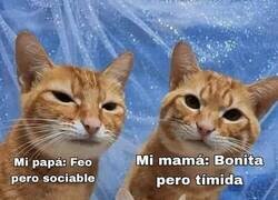 Enlace a Saqué lo peor de cada uno