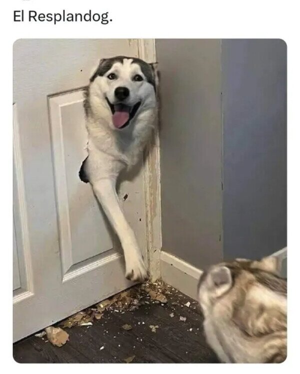 Meme_otros - Aterrador