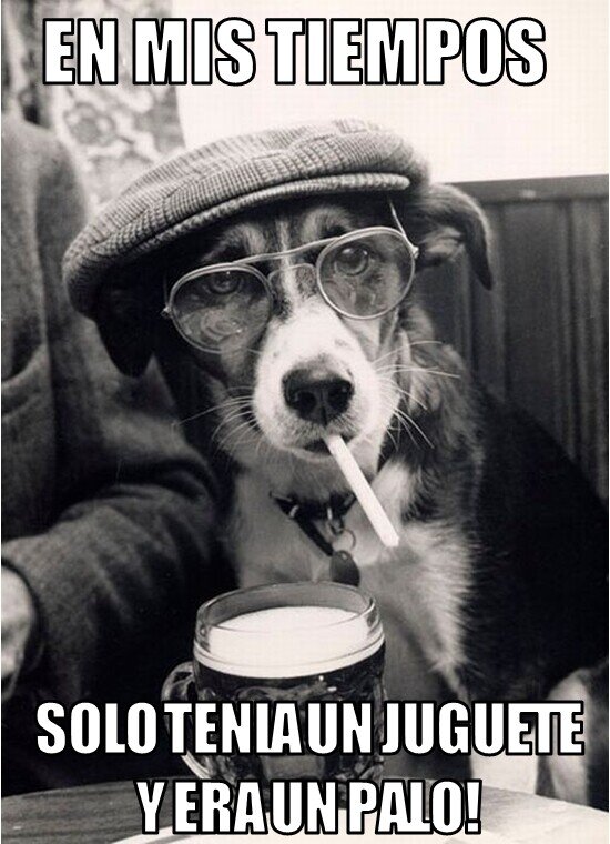 Meme_otros - En mi época perruna..