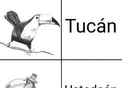 Enlace a Hablemos con propiedad