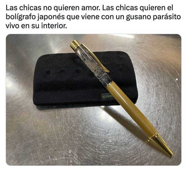 Otros - ¿Qué quieren las chicas?