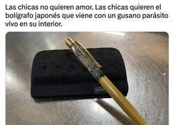 Enlace a ¿Qué quieren las chicas?