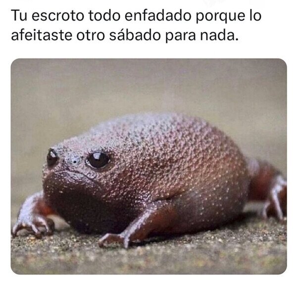 Otros - Así se ve para nada