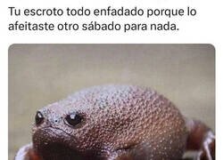 Enlace a Así se ve para nada