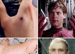 Enlace a Tiene sentido