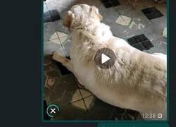 Enlace a Cuando solo se envía un mensaje