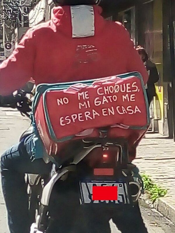 Meme_otros - Piensa en su gato