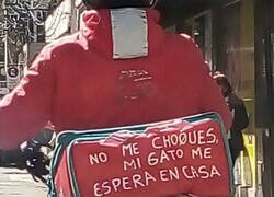 Enlace a Piensa en su gato