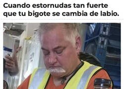 Enlace a Bigote movedizo