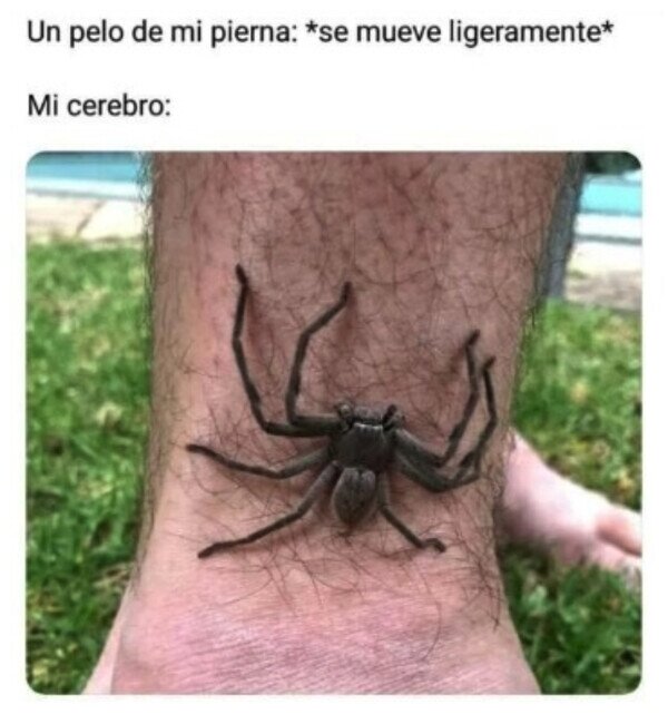 Otros - ¿Por qué me imaginaré estas cosas?
