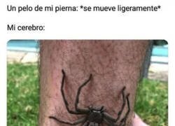 Enlace a ¿Por qué me imaginaré estas cosas?