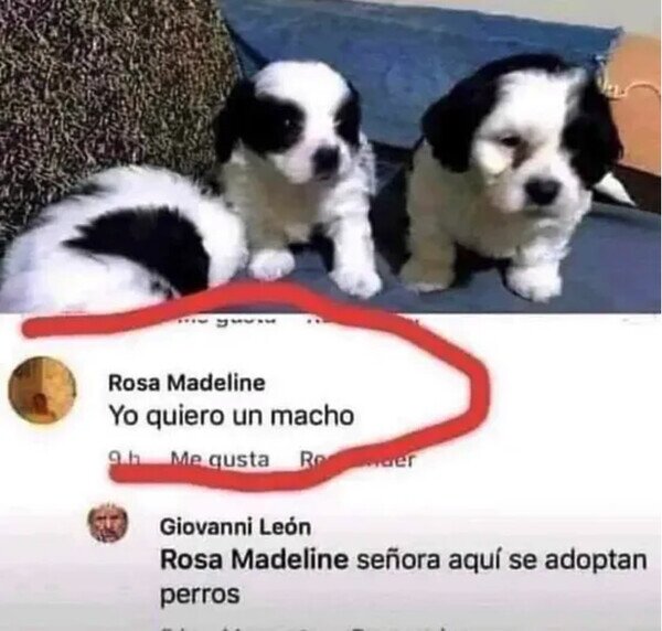 Otros - Señora, por favor...
