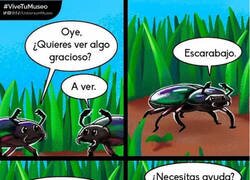 Enlace a Le salió caro el chiste