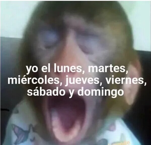 Meme_otros - Sueño, siempre sueño