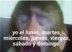 Enlace a Sueño, siempre sueño