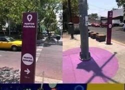 Enlace a Los útiles puntos púrpura