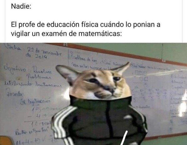 profesor,matemáticas,examen,educación,física