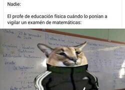 Enlace a Ahí se planta