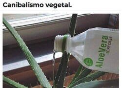 Enlace a Las cosas por su nombre