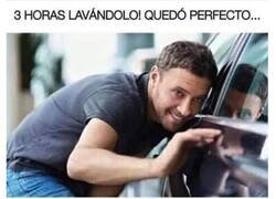 Enlace a Paloma troll