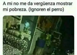 Enlace a Estas son mis condiciones