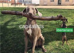 Enlace a Se agarran a lo que pueden