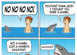 Enlace a El asistente del tiburón