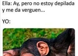 Enlace a Yo no me corto