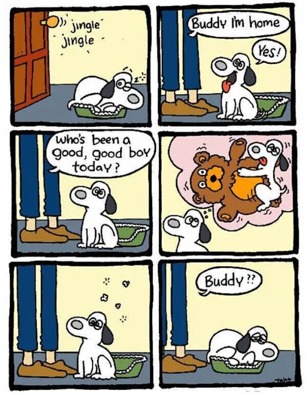 Meme_otros - Perro con remordimientos