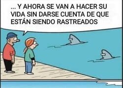 Enlace a Al final somo animales igual que ellos