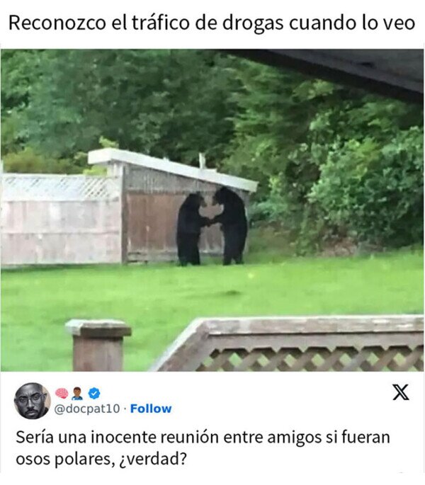Meme_otros - Los osos también sufren racismo