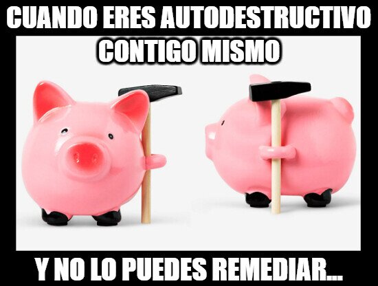 Meme_otros - Ese cerdito me representa...