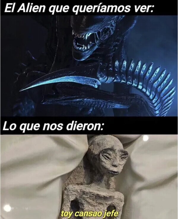 Meme_otros - Decepción