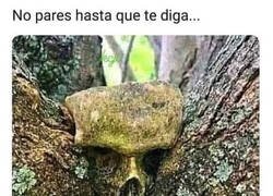 Enlace a Y nunca dijo