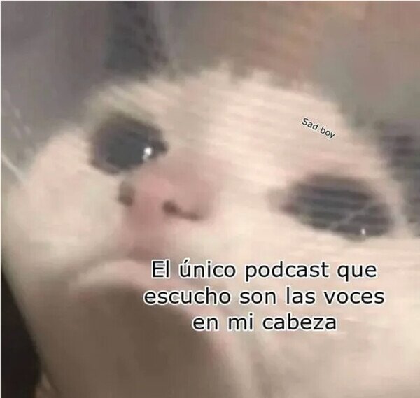 Meme_otros - El único podcast que escucho